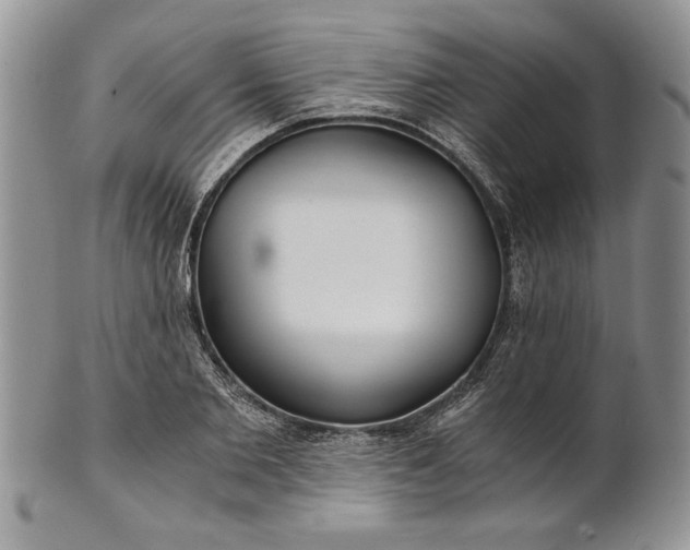 X0000101950885200808011043