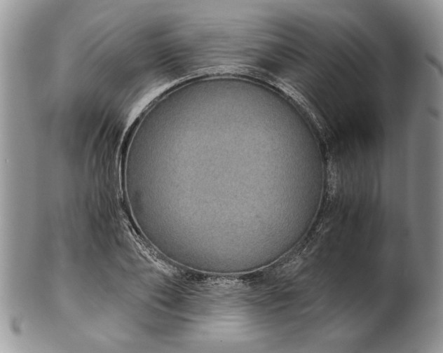 X0000101950886200808011043