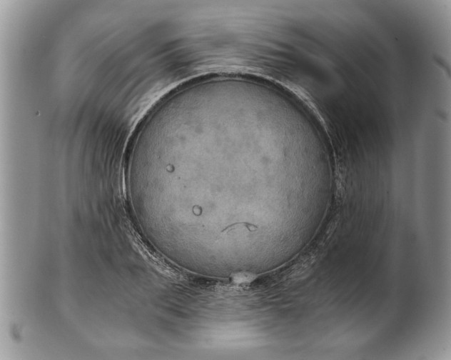 X0000101950887200808011043