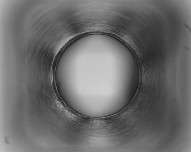 X0000101950888200808011043