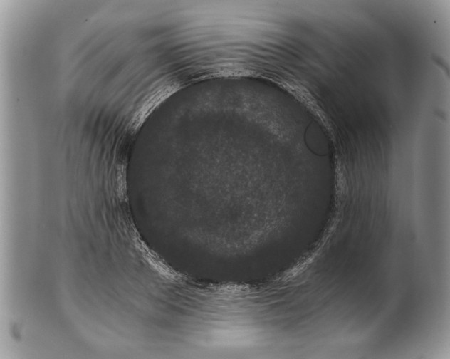 X0000101950889200808011043