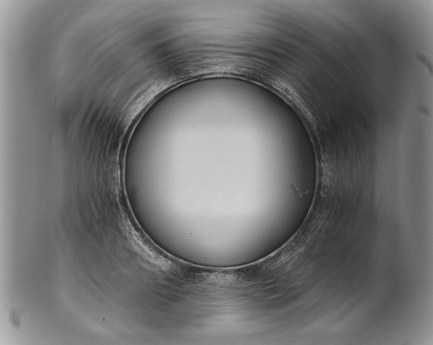 X0000101950890200808011043