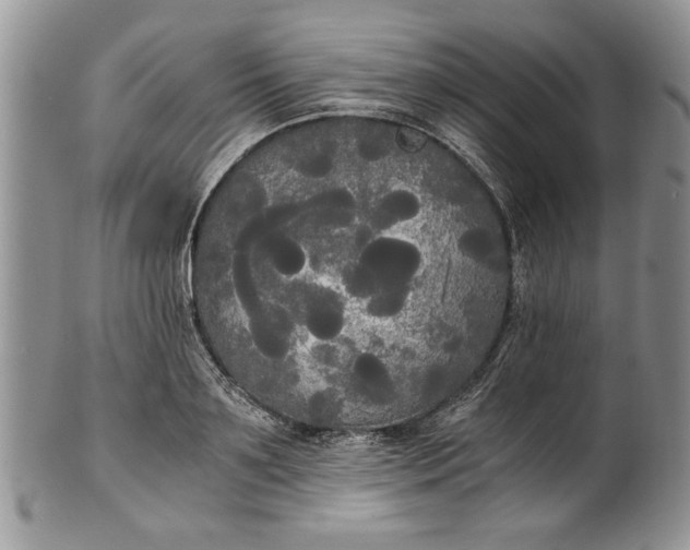 X0000101950891200808011043