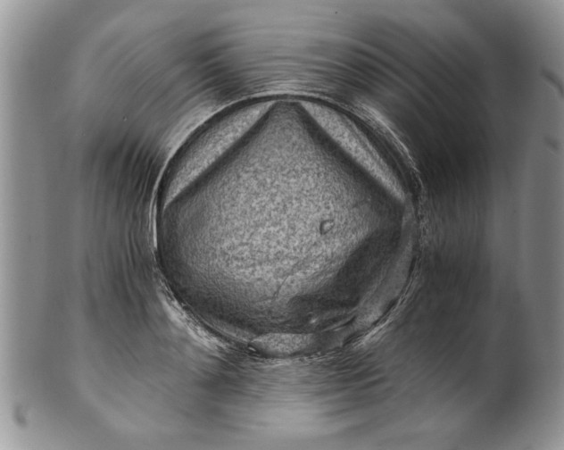 X0000101950892200808011043