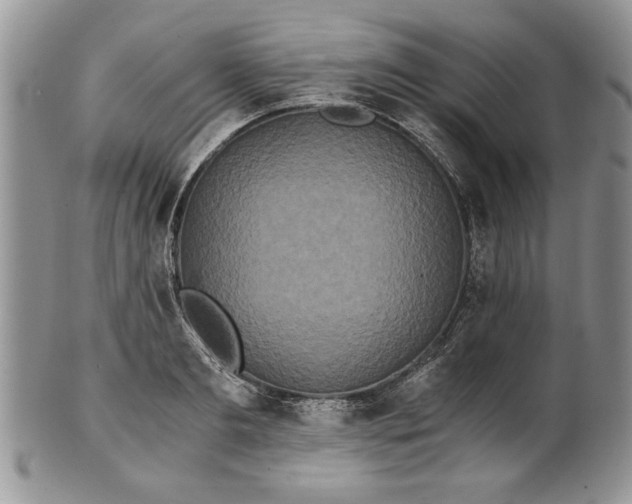 X0000101950893200808011043