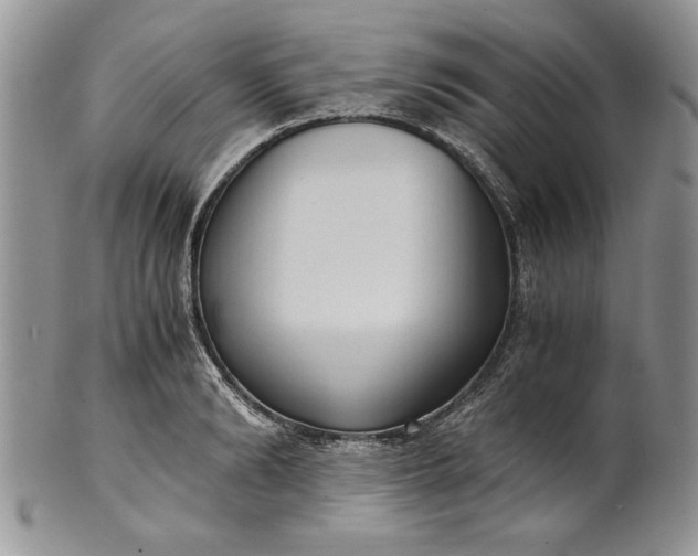 X0000101950894200808011043