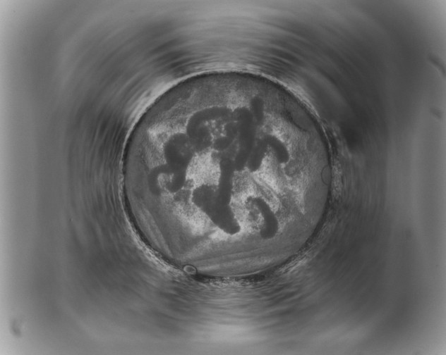 X0000101950895200808011043