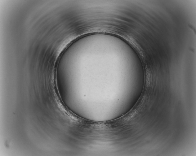 X0000101950896200808011043