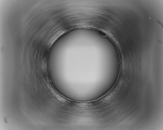 X0000101950897200808011043