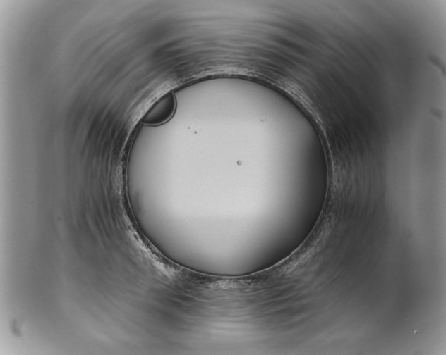 X0000101950898200808011043