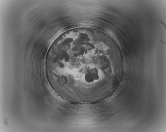 X0000101950899200808011043