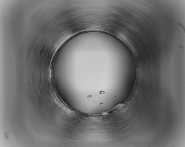 X0000101950900200808011043