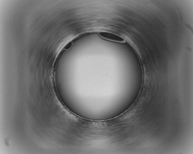 X0000101950901200808011043