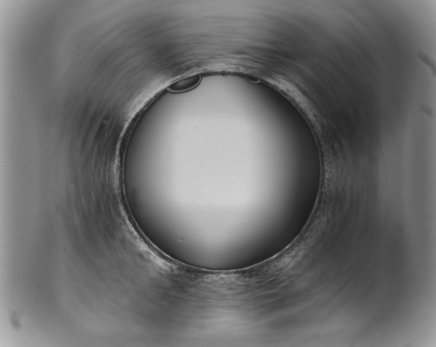 X0000101950902200808011043