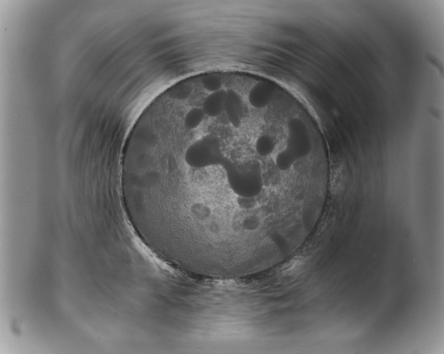 X0000101950903200808011043