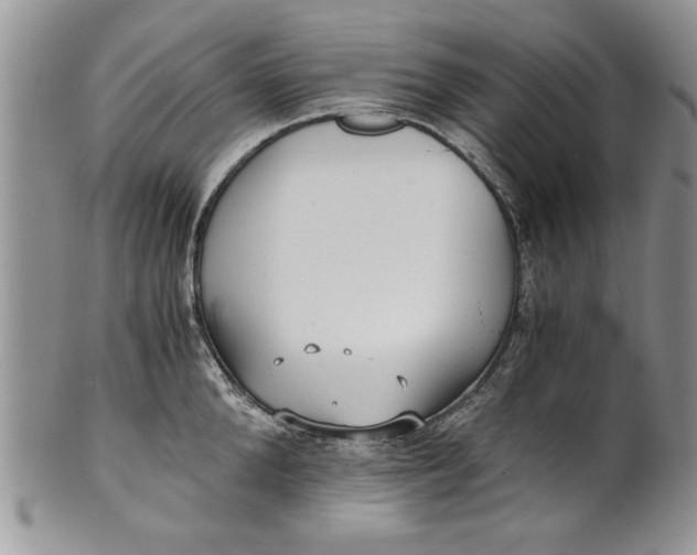 X0000101950904200808011043