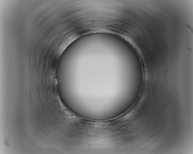 X0000101950905200808011043