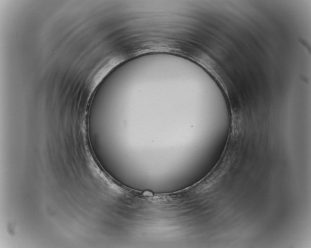 X0000101950906200808011043