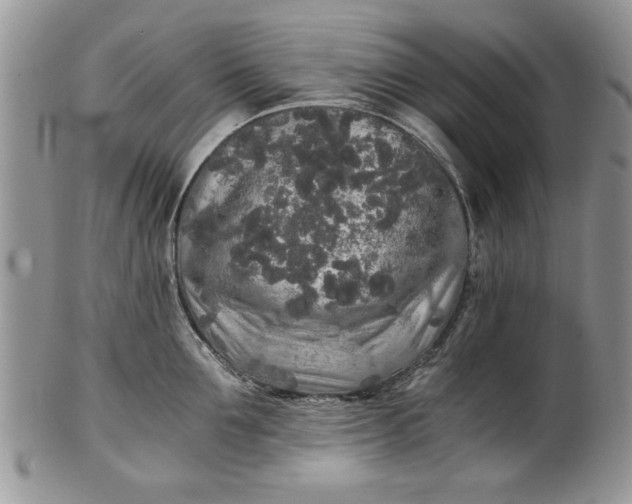 X0000101950907200808011043