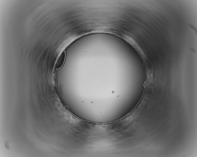 X0000101950908200808011043