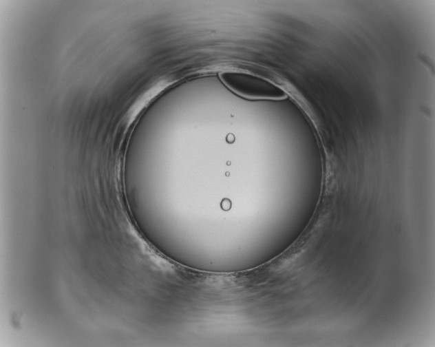 X0000101950909200808011043