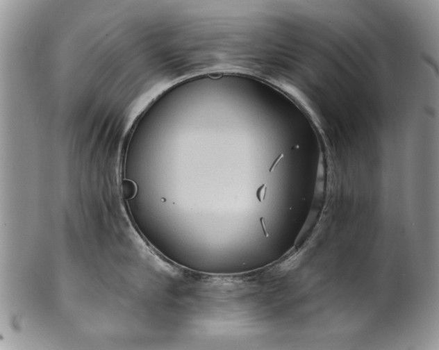 X0000101950910200808011043