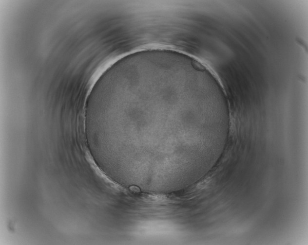 X0000101950911200808011043