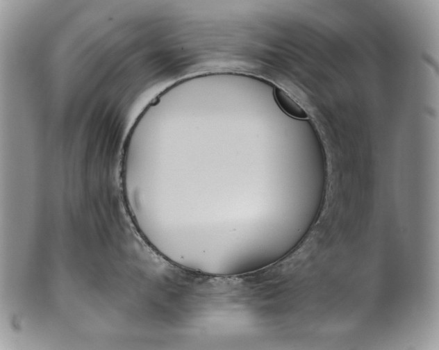 X0000101950912200808011043