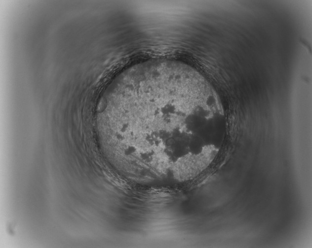 X0000101950913200808011042