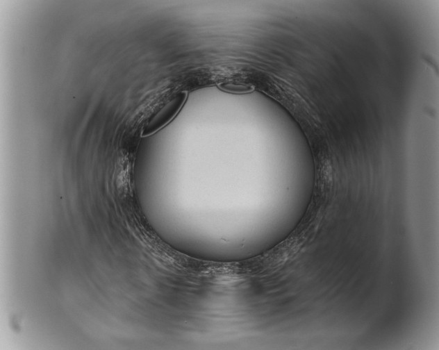 X0000101950914200808011042