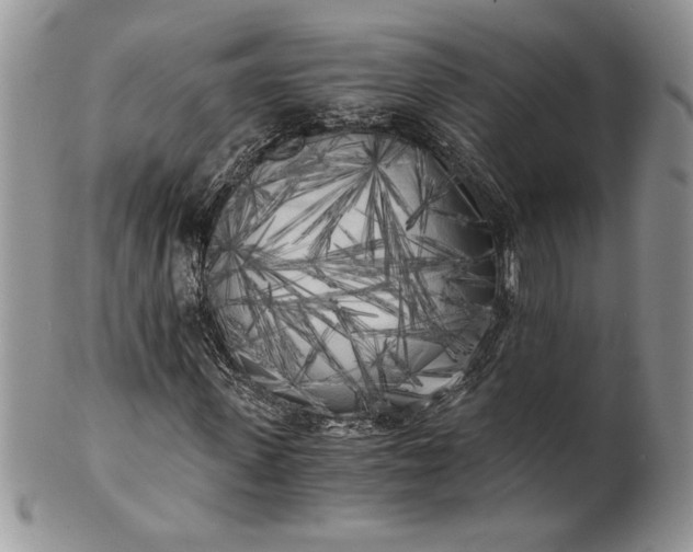 X0000101950915200808011042