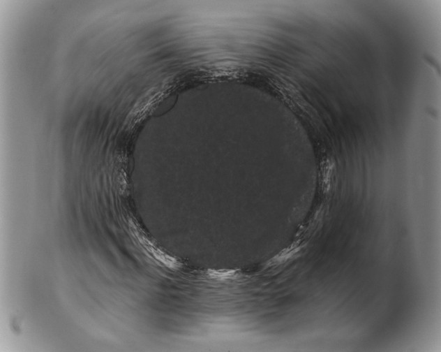 X0000101950916200808011042