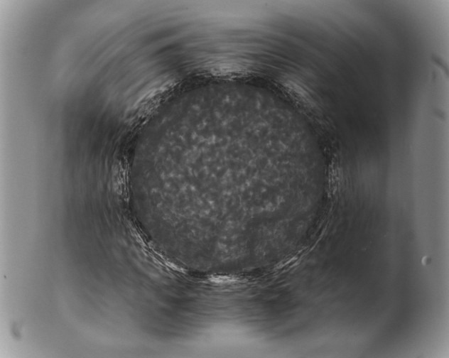 X0000101950917200808011042