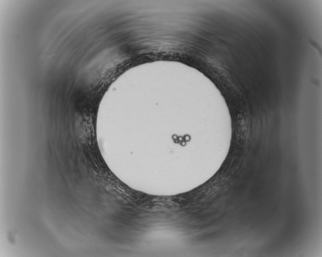 X0000101950918200808011042