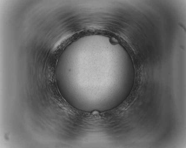 X0000101950919200808011042