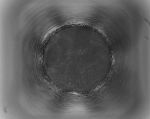 X0000101950920200808011042