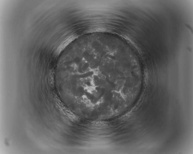 X0000101950921200808011042