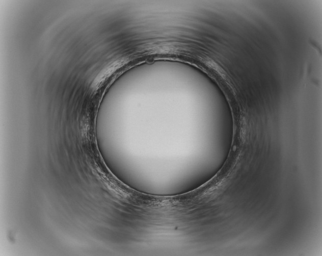 X0000101950922200808011042