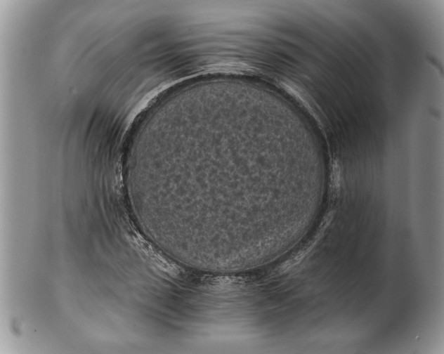 X0000101950923200808011042