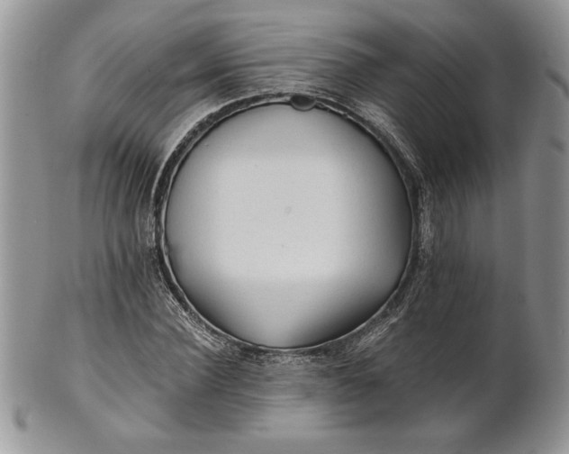 X0000101950924200808011042