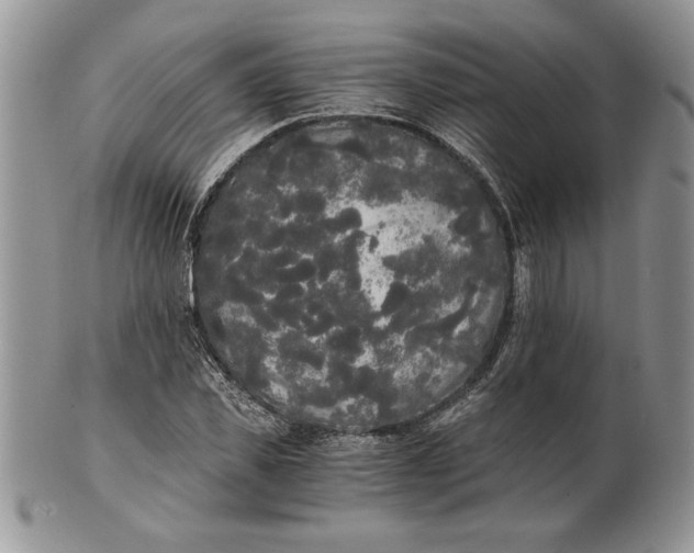 X0000101950925200808011042