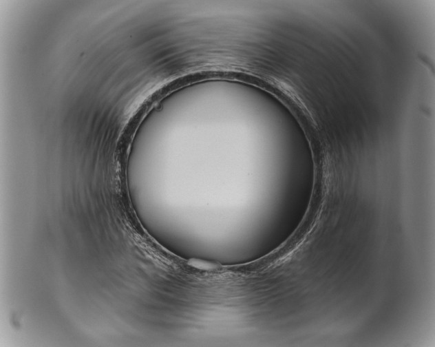 X0000101950926200808011042