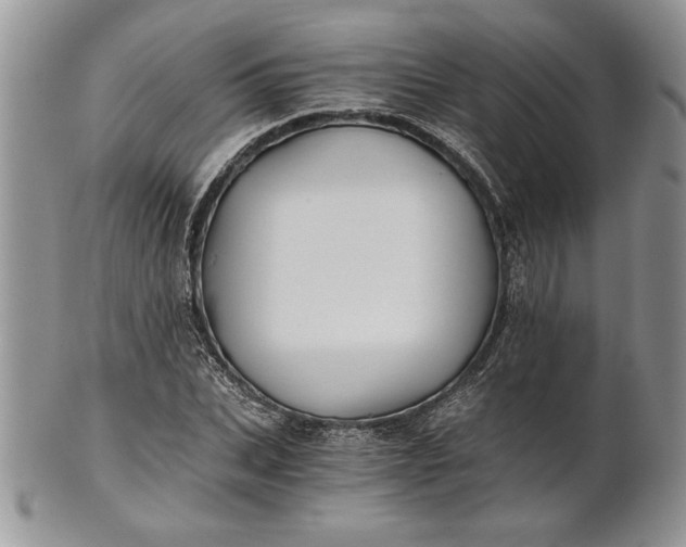 X0000101950927200808011042