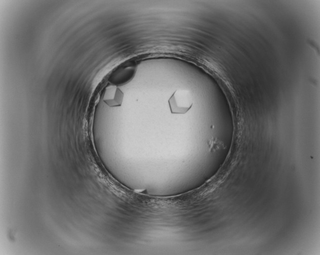 X0000101950928200808011042