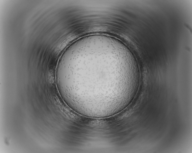 X0000101950929200808011042