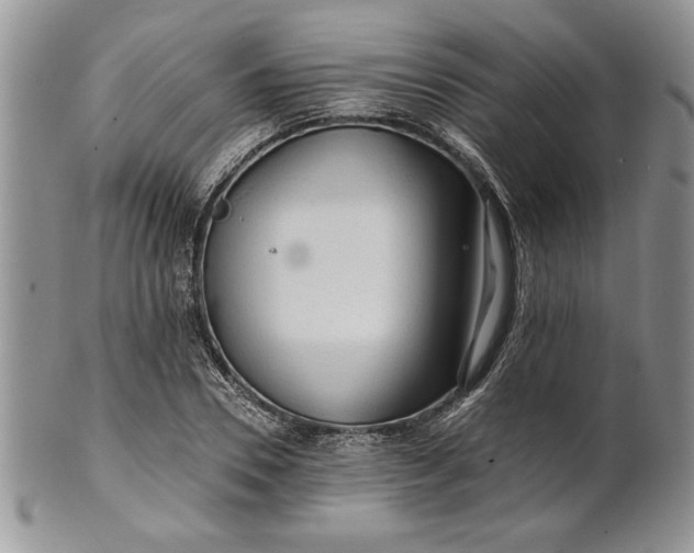 X0000101950930200808011042