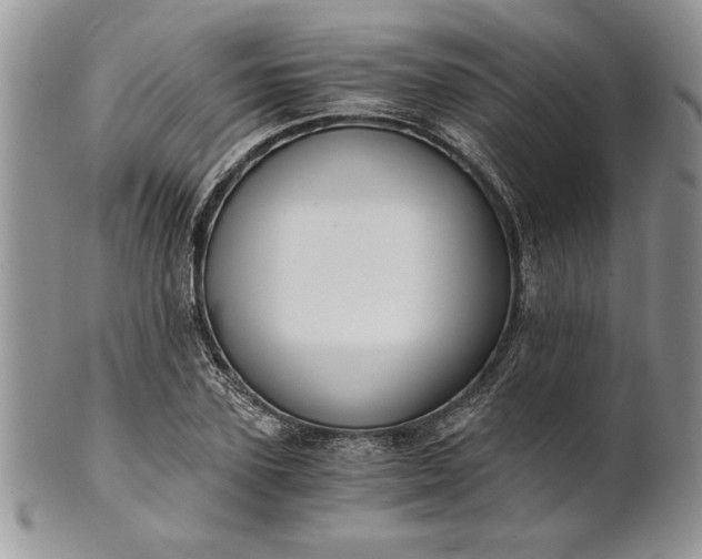 X0000101950931200808011042