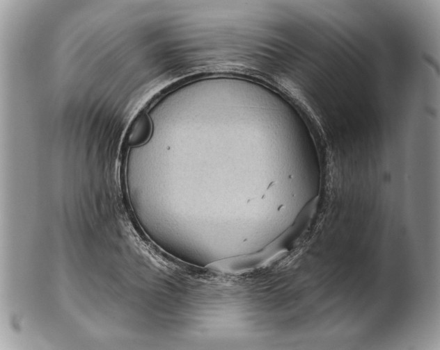 X0000101950932200808011042