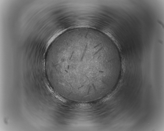 X0000101950933200808011042