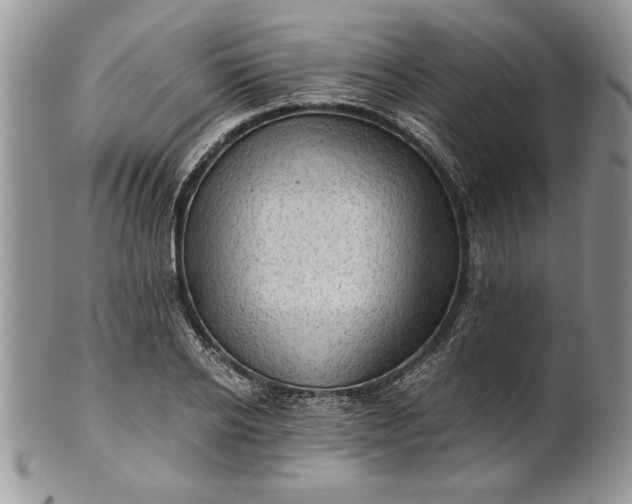 X0000101950934200808011042